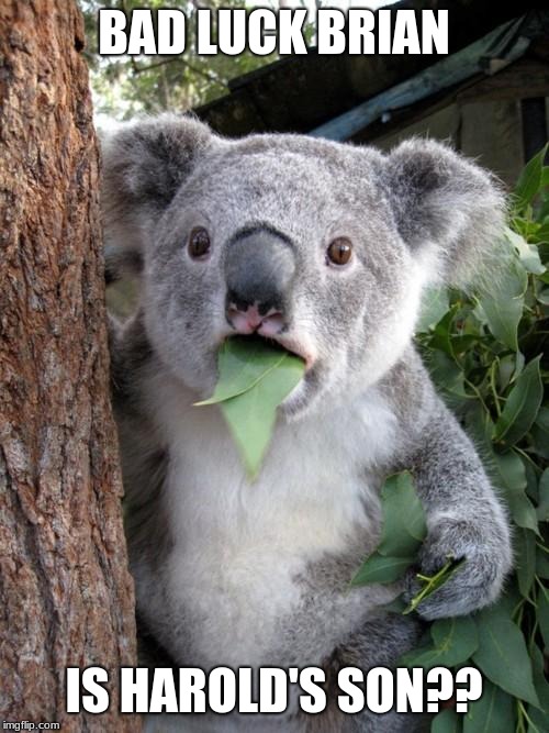 Surprised Koala Meme | BAD LUCK BRIAN IS HAROLD'S SON?? | image tagged in memes,surprised koala | made w/ Imgflip meme maker