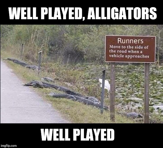 Well played  | WELL PLAYED, ALLIGATORS; WELL PLAYED | image tagged in alligators,jbmemegeek,funny signs,fails | made w/ Imgflip meme maker
