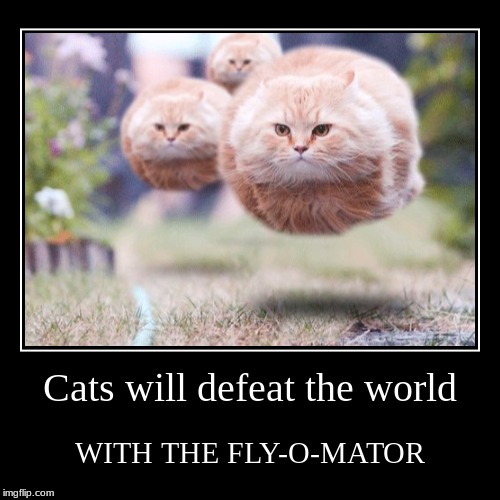 image tagged in advertisement,cats,flying,black,poof,cats will defeat the world | made w/ Imgflip demotivational maker