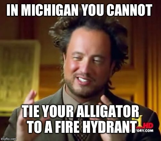 Ludicrous laws week April 1st thru the 7th. A Katechucks event(I think?) | IN MICHIGAN YOU CANNOT; TIE YOUR ALLIGATOR TO A FIRE HYDRANT | image tagged in memes,ancient aliens | made w/ Imgflip meme maker