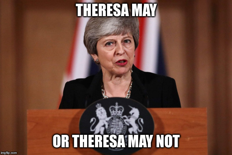 Brexit or maybe not ... | THERESA MAY; OR THERESA MAY NOT | image tagged in theresa may,brexit,humor,fun | made w/ Imgflip meme maker