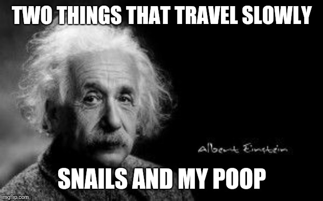Einstein poop | TWO THINGS THAT TRAVEL SLOWLY; SNAILS AND MY POOP | image tagged in einstein poop | made w/ Imgflip meme maker
