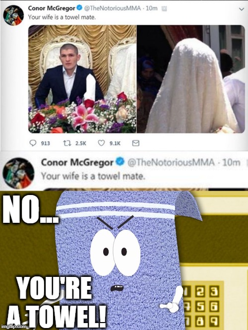 Deleted Controversial Conor McGregor Tweet = Meme Win | NO... YOU'RE A TOWEL! | image tagged in conor mcgregor,towel,towelie | made w/ Imgflip meme maker