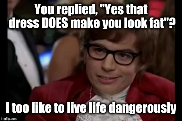 Some men just don't get it! LOL | You replied, "Yes that dress DOES make you look fat"? I too like to live life dangerously | image tagged in memes,i too like to live dangerously | made w/ Imgflip meme maker
