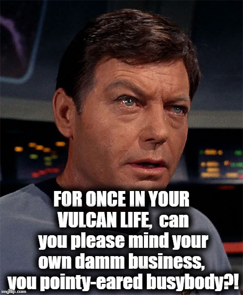 FOR ONCE IN YOUR VULCAN LIFE,  can you please mind your own damm business,  you pointy-eared busybody?! | made w/ Imgflip meme maker