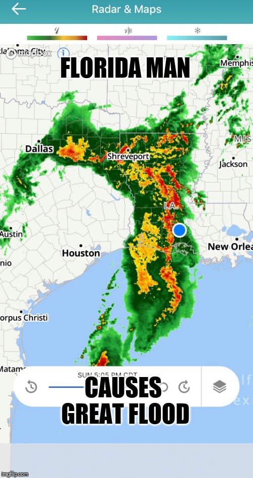 Radar looks like Florida | FLORIDA MAN; CAUSES GREAT FLOOD | image tagged in florida man,florida,louisiana,louisiana flood,radar,bad pun radar | made w/ Imgflip meme maker