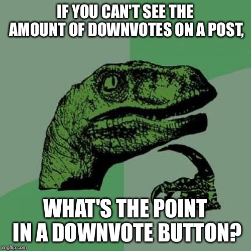Philosoraptor Meme | IF YOU CAN'T SEE THE AMOUNT OF DOWNVOTES ON A POST, WHAT'S THE POINT IN A DOWNVOTE BUTTON? | image tagged in memes,philosoraptor | made w/ Imgflip meme maker