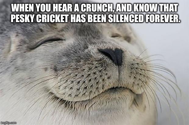 Satisfied Seal | WHEN YOU HEAR A CRUNCH, AND KNOW THAT PESKY CRICKET HAS BEEN SILENCED FOREVER. | image tagged in memes,satisfied seal | made w/ Imgflip meme maker