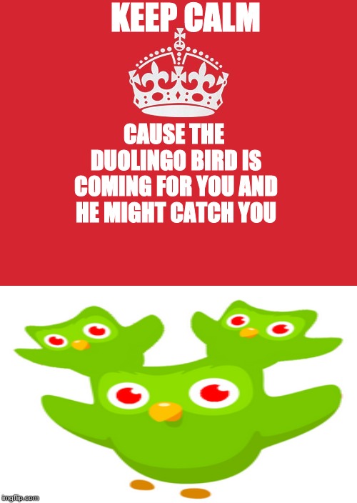 duolingo is cursed | KEEP CALM; CAUSE THE DUOLINGO BIRD IS COMING FOR YOU AND HE MIGHT CATCH YOU | image tagged in memes,keep calm and carry on red,duolingo,evil duolingo,keep calm,murder | made w/ Imgflip meme maker