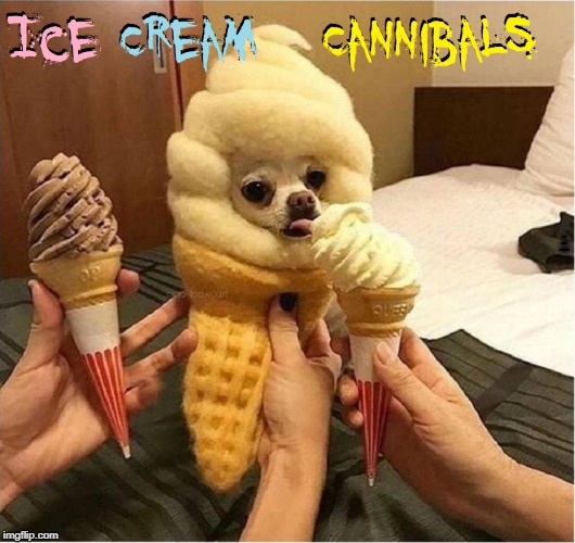 You are What You Eat | ICE CREAM CANNIBALS | image tagged in vince vance,chihuahua,dogs,ice cream cone,costume,dog licking ice cream | made w/ Imgflip meme maker