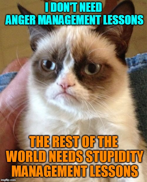 The people this meme is meant for probably won't even understand it. (>‿◠) | I DON'T NEED ANGER MANAGEMENT LESSONS; THE REST OF THE WORLD NEEDS STUPIDITY MANAGEMENT LESSONS | image tagged in memes,grumpy cat,grumpy cat insults,repost your own memes week | made w/ Imgflip meme maker