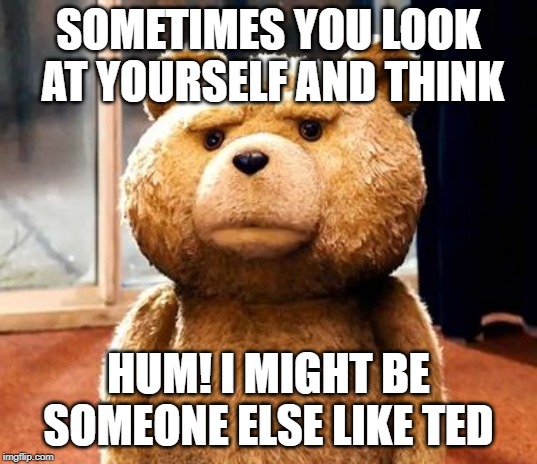 TED | SOMETIMES YOU LOOK AT YOURSELF AND THINK; HUM! I MIGHT BE SOMEONE ELSE LIKE TED | image tagged in memes,ted | made w/ Imgflip meme maker