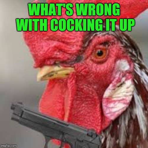 WHAT'S WRONG WITH COCKING IT UP | made w/ Imgflip meme maker