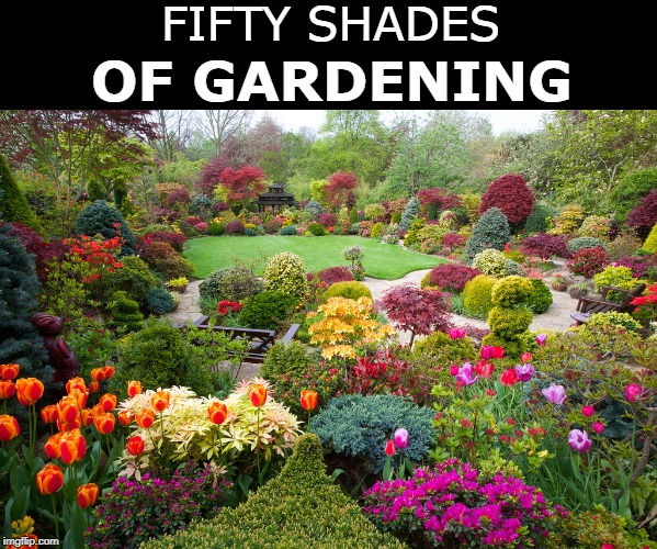 Coming soon to a park/back yard near you | FIFTY SHADES; OF GARDENING | image tagged in april,spring,garden | made w/ Imgflip meme maker