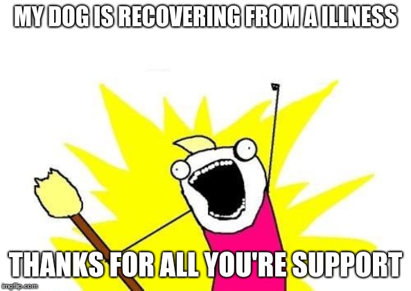 thank you for all of the support imgflip | MY DOG IS RECOVERING FROM A ILLNESS; THANKS FOR ALL YOU'RE SUPPORT | image tagged in memes,x all the y,thank you,thanks,dogs,recovery | made w/ Imgflip meme maker