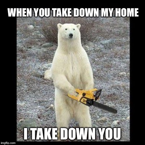 Chainsaw Bear | WHEN YOU TAKE DOWN MY HOME; I TAKE DOWN YOU | image tagged in memes,chainsaw bear | made w/ Imgflip meme maker