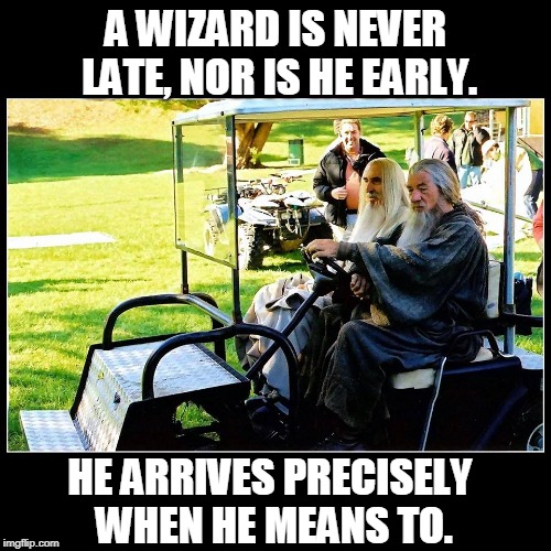 WIZARDS LOTR | A WIZARD IS NEVER LATE, NOR IS HE EARLY. HE ARRIVES PRECISELY WHEN HE MEANS TO. | image tagged in lotr,gandalf,saruman,lord of the rings | made w/ Imgflip meme maker