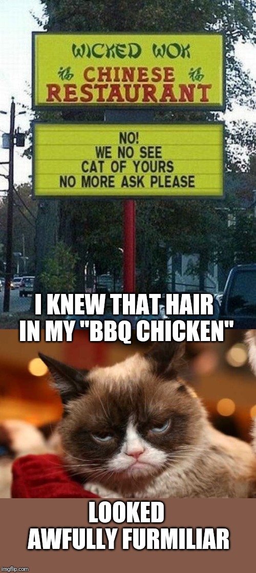 With a name like "Wicked Wok," you can never be too sure | I KNEW THAT HAIR IN MY "BBQ CHICKEN"; LOOKED AWFULLY FURMILIAR | image tagged in memes,chinese food,grumpy cat,eating healthy,lordcheesus,but thats none of my business | made w/ Imgflip meme maker