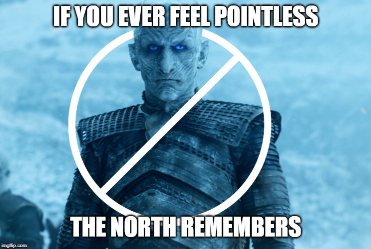 North Remembers Nothing | IF YOU EVER FEEL POINTLESS; THE NORTH REMEMBERS | image tagged in pointless,night king,game of thrones,useless,lame,you know nothing | made w/ Imgflip meme maker