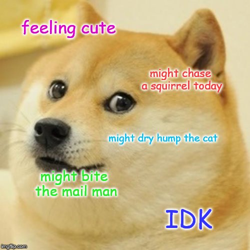 Doge | feeling cute; might chase a squirrel today; might dry hump the cat; might bite the mail man; IDK | image tagged in memes,doge | made w/ Imgflip meme maker