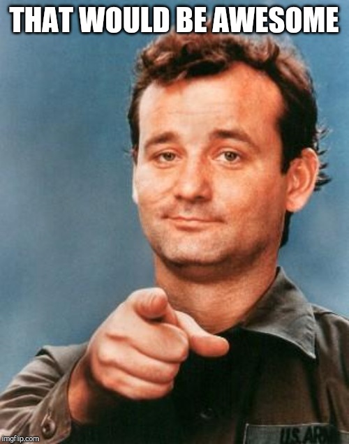 THAT WOULD BE AWESOME | image tagged in bill murray you're awesome | made w/ Imgflip meme maker