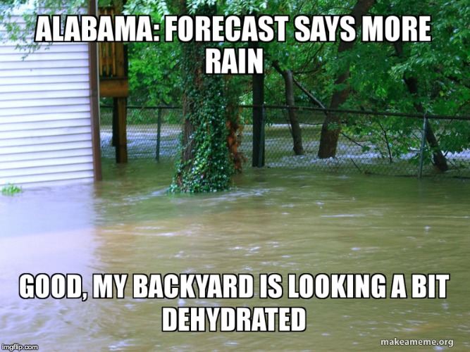 Alabama Flooding | image tagged in alabama,flooding,backyard,water,flooded,funny | made w/ Imgflip meme maker