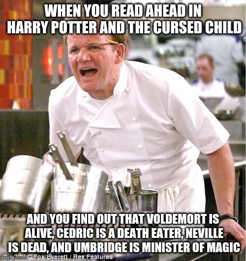 Chef Gordon Ramsay | WHEN YOU READ AHEAD IN HARRY POTTER AND THE CURSED CHILD; AND YOU FIND OUT THAT VOLDEMORT IS ALIVE, CEDRIC IS A DEATH EATER, NEVILLE IS DEAD, AND UMBRIDGE IS MINISTER OF MAGIC | image tagged in memes,chef gordon ramsay | made w/ Imgflip meme maker