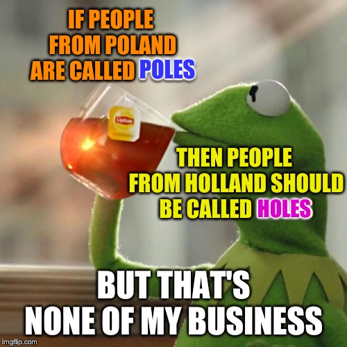 The inconsistencies of the English language never fail to amuse me | IF PEOPLE FROM POLAND ARE CALLED POLES; POLES; THEN PEOPLE FROM HOLLAND SHOULD BE CALLED HOLES; HOLES; BUT THAT'S NONE OF MY BUSINESS | image tagged in memes,but thats none of my business,kermit the frog,poland,blaze the blaziken,drinking englishman | made w/ Imgflip meme maker