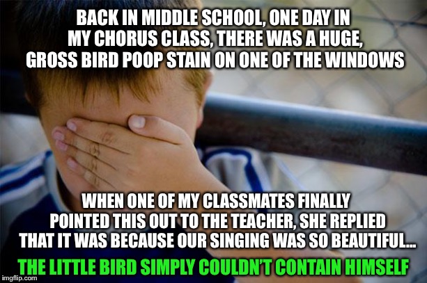 Confession Kid | BACK IN MIDDLE SCHOOL, ONE DAY IN MY CHORUS CLASS, THERE WAS A HUGE, GROSS BIRD POOP STAIN ON ONE OF THE WINDOWS; WHEN ONE OF MY CLASSMATES FINALLY POINTED THIS OUT TO THE TEACHER, SHE REPLIED THAT IT WAS BECAUSE OUR SINGING WAS SO BEAUTIFUL... THE LITTLE BIRD SIMPLY COULDN’T CONTAIN HIMSELF | image tagged in memes,confession kid,choir,middle school,poop,singing | made w/ Imgflip meme maker