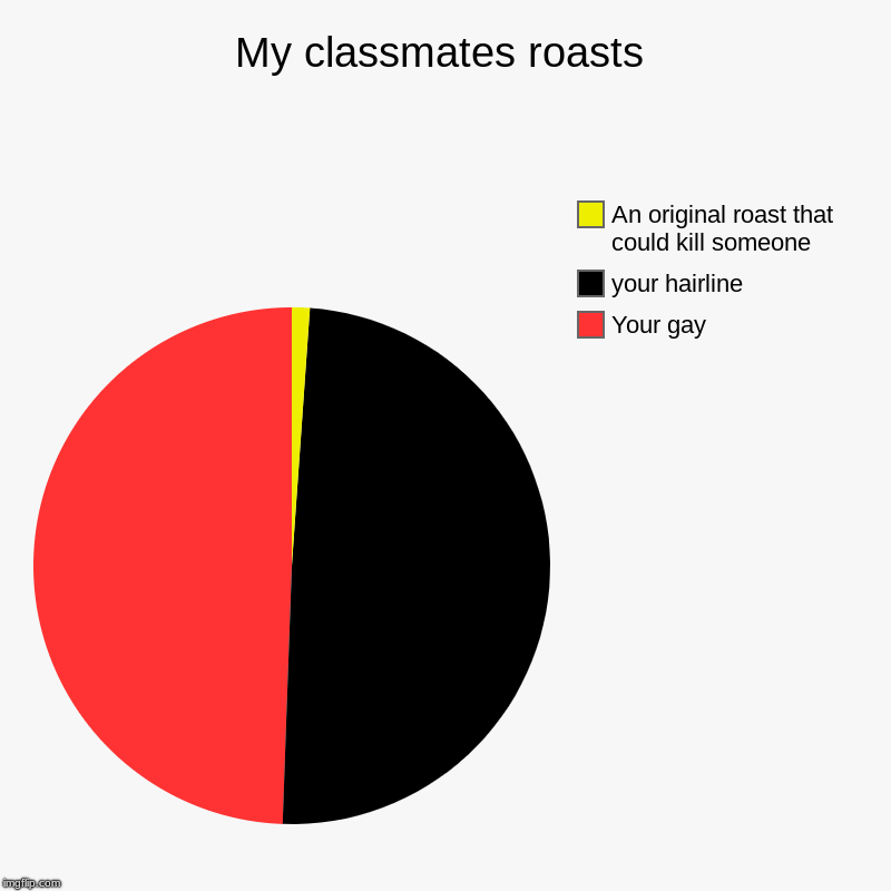 The "wonderful" roasts of my classmates | My classmates roasts | Your gay, your hairline, An original roast that could kill someone | image tagged in charts,pie charts,roasts,gay,hair | made w/ Imgflip chart maker