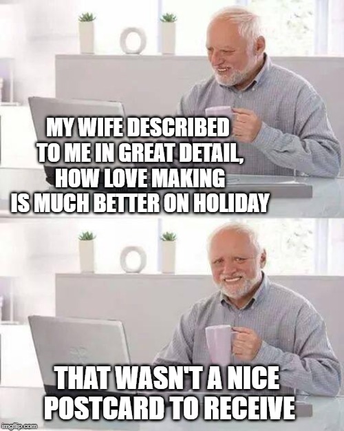 You know what on the beach | MY WIFE DESCRIBED TO ME IN GREAT DETAIL, HOW LOVE MAKING IS MUCH BETTER ON HOLIDAY; THAT WASN'T A NICE POSTCARD TO RECEIVE | image tagged in memes,hide the pain harold,wife,bragging,happy holidays,harold | made w/ Imgflip meme maker