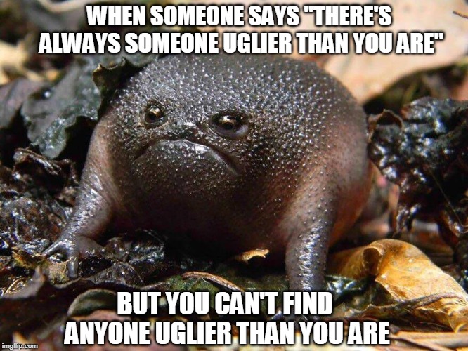 The Ugliest Little 'Whatever The Heck That Thing Is", That You've Ever Seen. | WHEN SOMEONE SAYS "THERE'S ALWAYS SOMEONE UGLIER THAN YOU ARE"; BUT YOU CAN'T FIND ANYONE UGLIER THAN YOU ARE | image tagged in memes,ugly,ugly face,frog,toad,grumpy toad | made w/ Imgflip meme maker