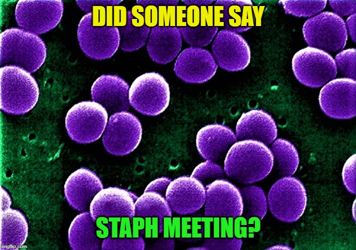 Staph | DID SOMEONE SAY STAPH MEETING? | image tagged in staph | made w/ Imgflip meme maker