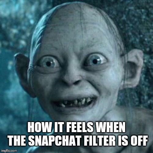Gollum | HOW IT FEELS WHEN THE SNAPCHAT FILTER IS OFF | image tagged in memes,gollum | made w/ Imgflip meme maker