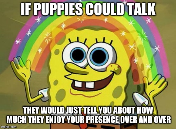 Imagination Spongebob | IF PUPPIES COULD TALK; THEY WOULD JUST TELL YOU ABOUT HOW MUCH THEY ENJOY YOUR PRESENCE OVER AND OVER | image tagged in memes,imagination spongebob | made w/ Imgflip meme maker