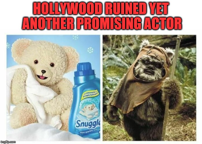 Drugs and Alcohol ruined the Snuggle Bear | HOLLYWOOD RUINED YET ANOTHER PROMISING ACTOR | image tagged in hollywood,drugs are bad,booze,funny | made w/ Imgflip meme maker