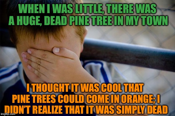 But I do think it would be cool if there were Trump spruces | WHEN I WAS LITTLE, THERE WAS A HUGE, DEAD PINE TREE IN MY TOWN; I THOUGHT IT WAS COOL THAT PINE TREES COULD COME IN ORANGE; I DIDN’T REALIZE THAT IT WAS SIMPLY DEAD | image tagged in memes,confession kid | made w/ Imgflip meme maker
