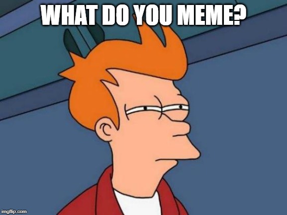 Futurama Fry Meme | WHAT DO YOU MEME? | image tagged in memes,futurama fry | made w/ Imgflip meme maker