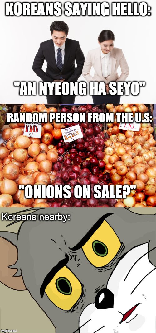 I can't speak more that one language. | KOREANS SAYING HELLO:; "AN NYEONG HA SEYO"; RANDOM PERSON FROM THE U.S:; "ONIONS ON SALE?"; Koreans nearby: | image tagged in memes,unsettled tom,onions,whoops | made w/ Imgflip meme maker