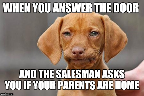 Dissapointed puppy | WHEN YOU ANSWER THE DOOR; AND THE SALESMAN ASKS YOU IF YOUR PARENTS ARE HOME | image tagged in my dissapointment is immeasurable and my day is ruined,yes really i'm an adult,embarrassing,lord cheesus,blaze the blaziken | made w/ Imgflip meme maker