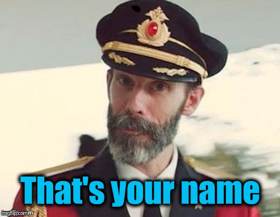 Captain Obvious | That's your name | image tagged in captain obvious | made w/ Imgflip meme maker