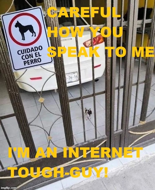 Internet Tough Guy | image tagged in tough guy,dog | made w/ Imgflip meme maker