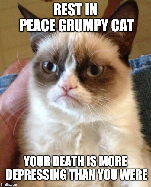 :'( Grumpy cat just passed away | REST IN PEACE GRUMPY CAT; YOUR DEATH IS MORE DEPRESSING THAN YOU WERE | image tagged in memes,grumpy cat | made w/ Imgflip meme maker
