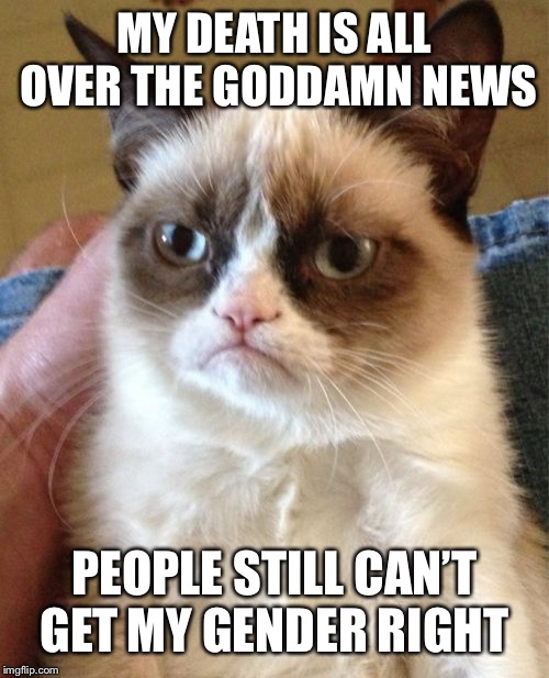 Grumpy Cat Meme | MY DEATH IS ALL OVER THE GO***MN NEWS PEOPLE STILL CAN’T GET MY GENDER RIGHT | image tagged in memes,grumpy cat | made w/ Imgflip meme maker
