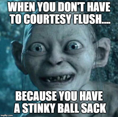 Gollum | WHEN YOU DON'T HAVE TO COURTESY FLUSH.... BECAUSE YOU HAVE A STINKY BALL SACK | image tagged in memes,gollum | made w/ Imgflip meme maker
