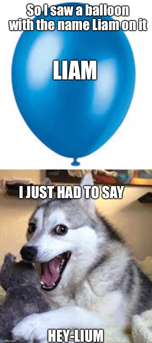 A Balloon joke | So I saw a balloon with the name Liam on it; LIAM; I JUST HAD TO SAY; HEY-LIUM | image tagged in bad pun dog,balloons,balloon,dogs,helium | made w/ Imgflip meme maker