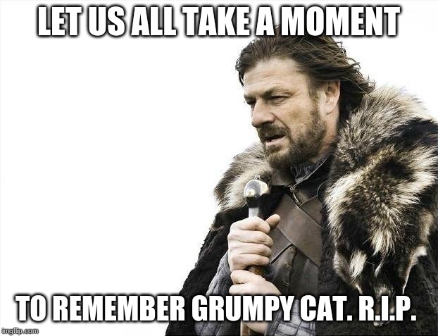 Brace Yourselves X is Coming | LET US ALL TAKE A MOMENT; TO REMEMBER GRUMPY CAT. R.I.P. | image tagged in memes,brace yourselves x is coming | made w/ Imgflip meme maker