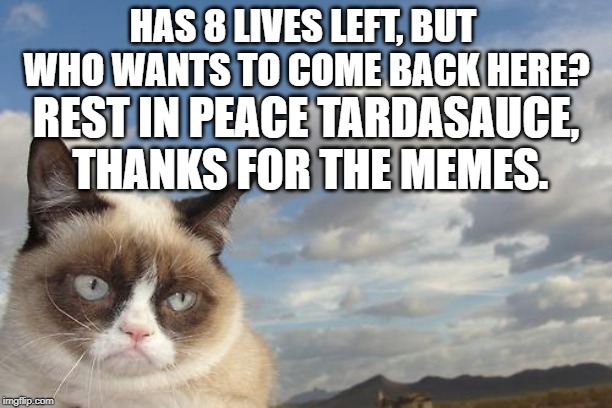 Grumpy Cat Sky | HAS 8 LIVES LEFT, BUT WHO WANTS TO COME BACK HERE? REST IN PEACE TARDASAUCE, THANKS FOR THE MEMES. | image tagged in memes,grumpy cat sky,grumpy cat | made w/ Imgflip meme maker
