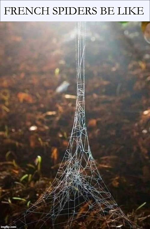 The Nope Tower | FRENCH SPIDERS BE LIKE | image tagged in memes,spiders,nope,france,paris,eiffel tower | made w/ Imgflip meme maker