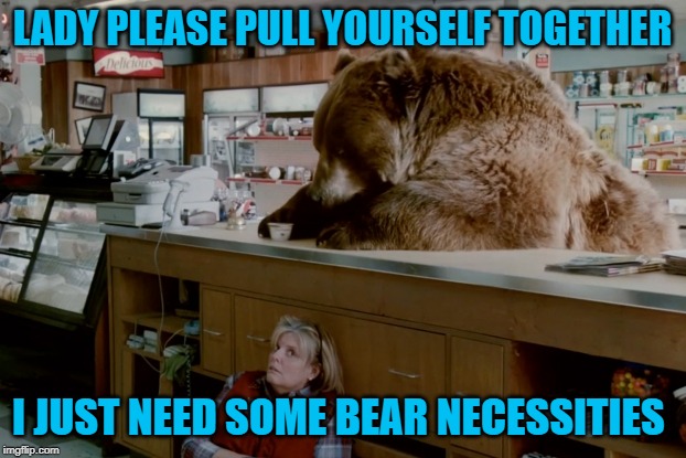 Gotta have those necessities!!! | LADY PLEASE PULL YOURSELF TOGETHER; I JUST NEED SOME BEAR NECESSITIES | image tagged in bear in grocery store,memes,bear necessities,funny,bears,animals | made w/ Imgflip meme maker